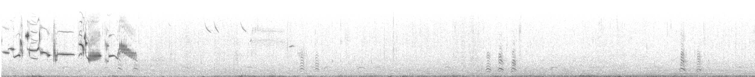 Plectrophane lapon - ML467302421