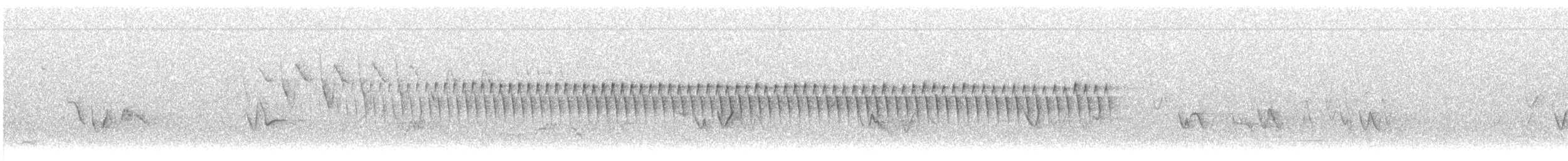 Schwirrammer - ML467335131