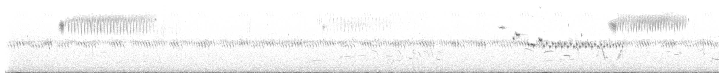 Baird's Sparrow - ML467362691