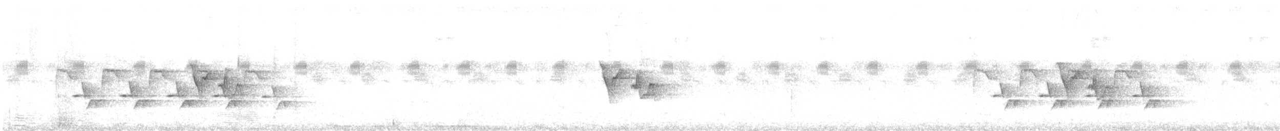 Поплітник каролінський (підвид albinucha/subfulvus) - ML467398671