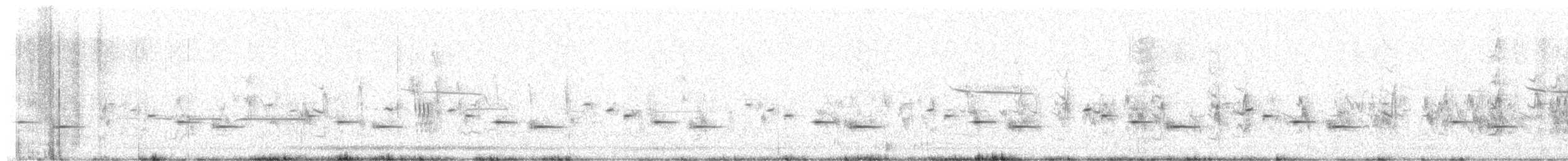 Psophode carillonneur - ML467450871