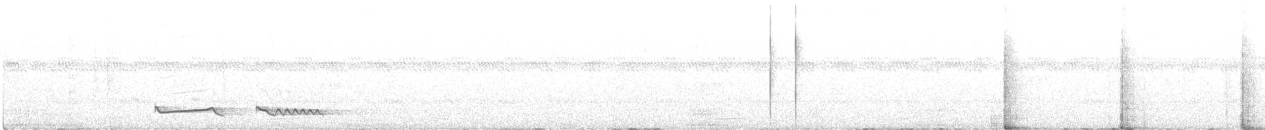lelek hvízdavý (ssp. nigriscapularis) - ML467480151