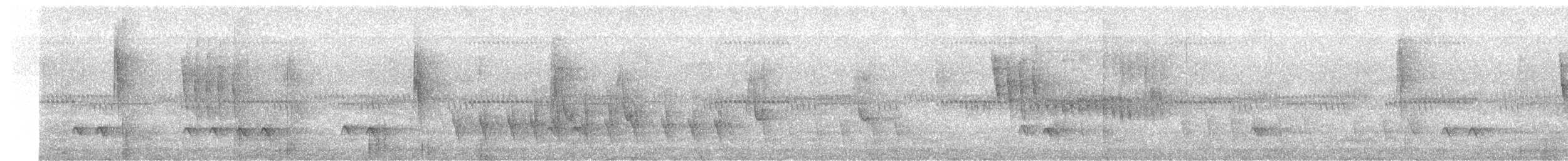 Streak-capped Antwren - ML467493281