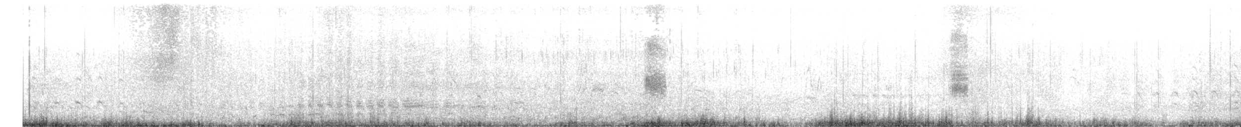 Баранець неотропічний - ML467520101