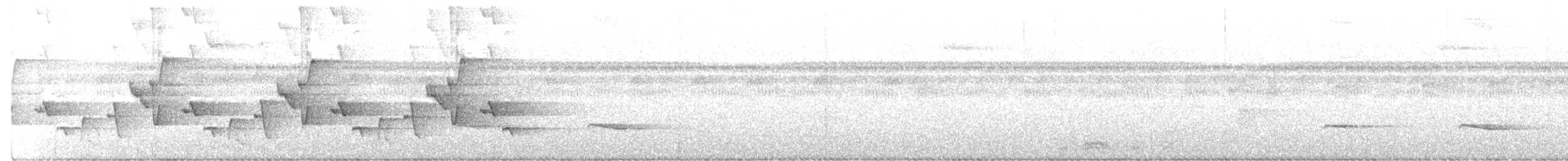 Troglodyte des ruisseaux - ML467524851