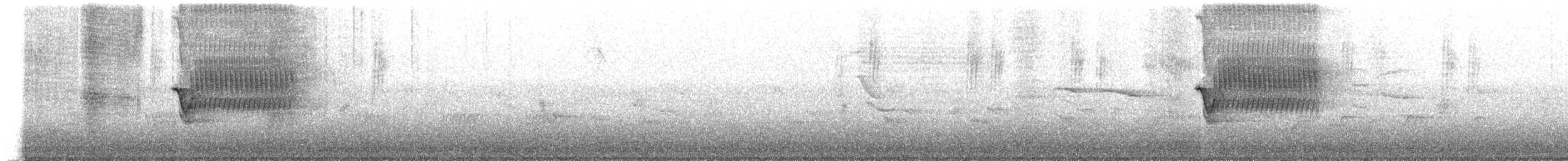 Тауї плямистий - ML467572801