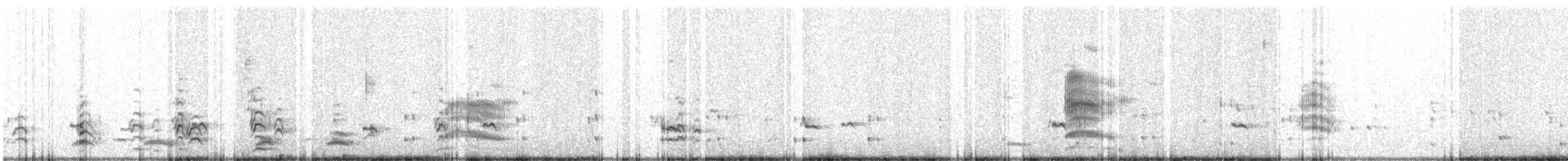 Сероголовая чайка - ML467580881