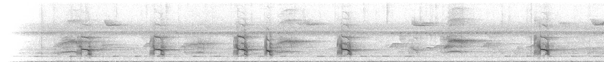 Синегорлый широкорот - ML467654911