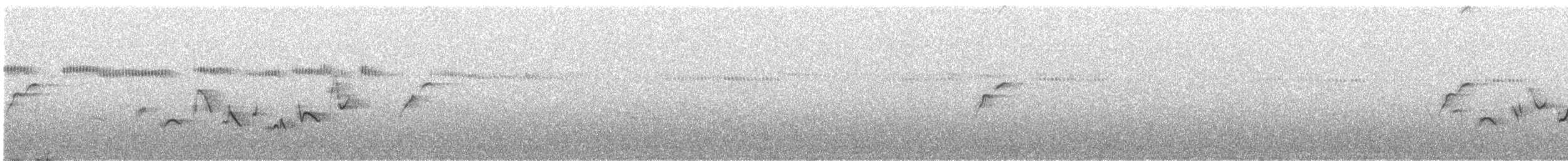 Warbling Vireo - ML467714431