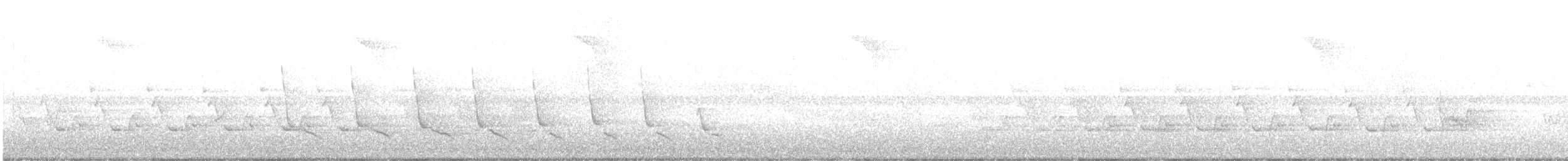 Каролинский крапивник - ML467723031