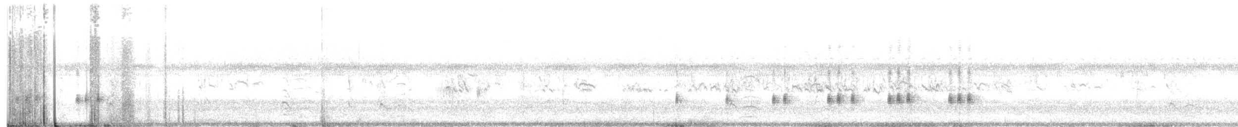chřástal virginský (ssp. limicola/friedmanni) - ML467725661