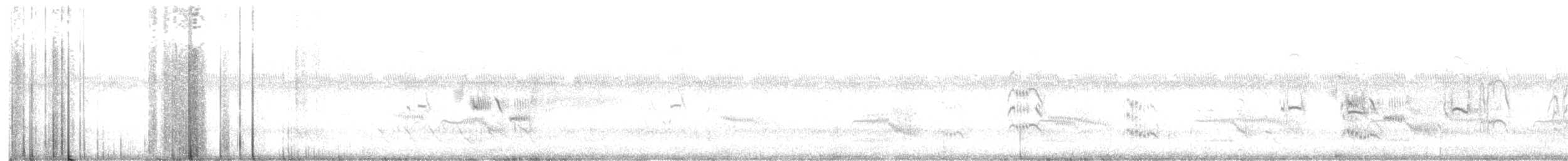 chřástal virginský (ssp. limicola/friedmanni) - ML467725701