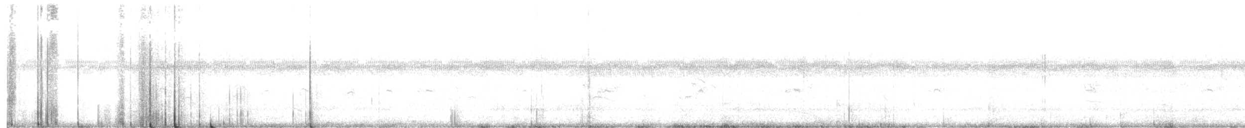 chřástal virginský (ssp. limicola/friedmanni) - ML467725711
