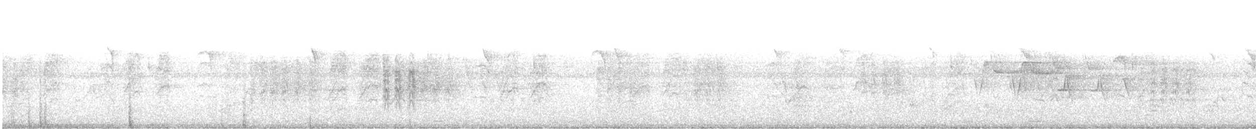 Oriole des vergers - ML467728881
