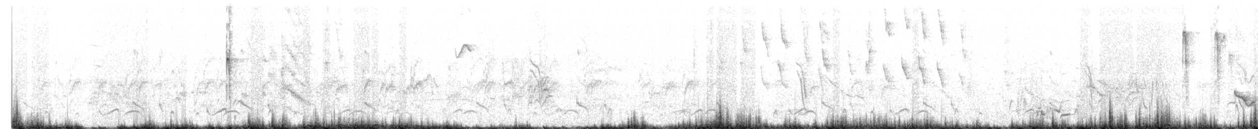 White-headed Mousebird - ML467751041