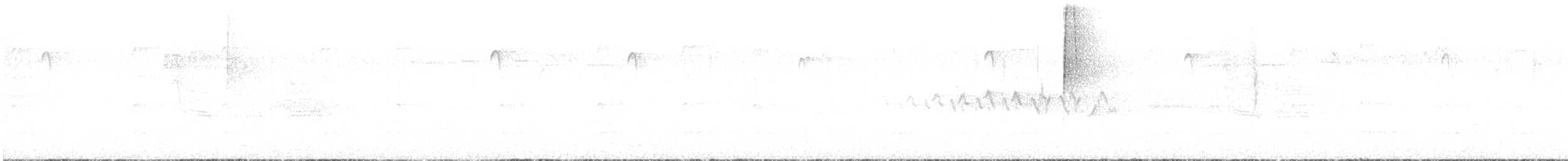 chickadee sp. - ML467778331