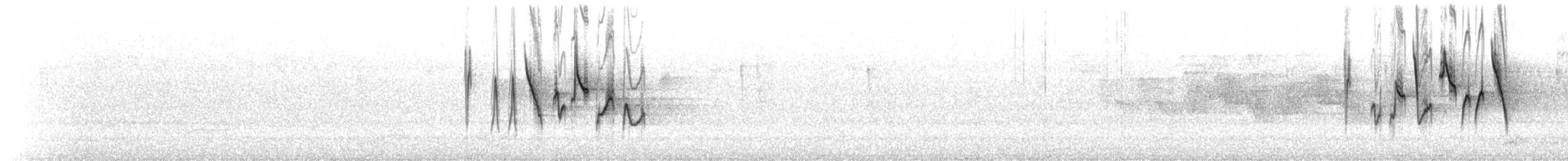 Paruline du Canada - ML467840431