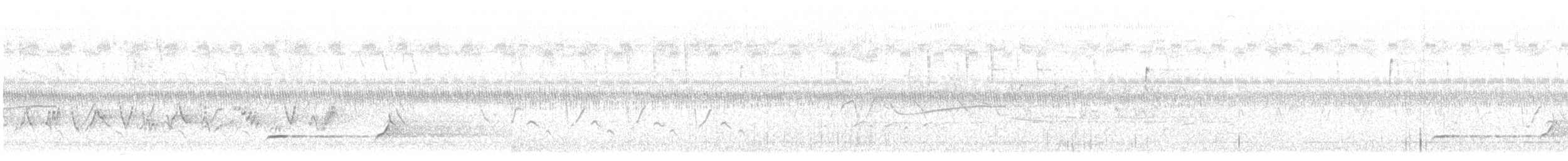 Northern Bobwhite - ML467864681