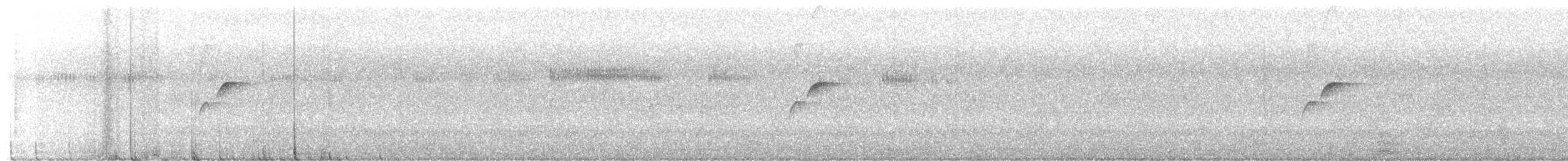 Western Flycatcher (Cordilleran) - ML467902991