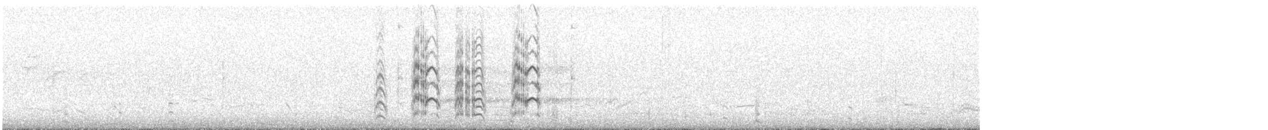 Крячок рябодзьобий (підвид sandvicensis) - ML467926711