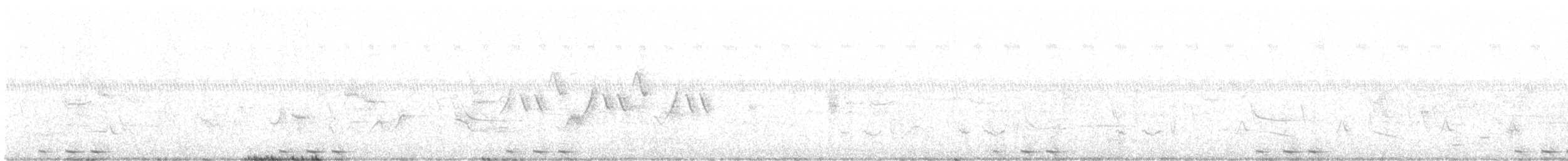 Black-billed Cuckoo - ML467979151