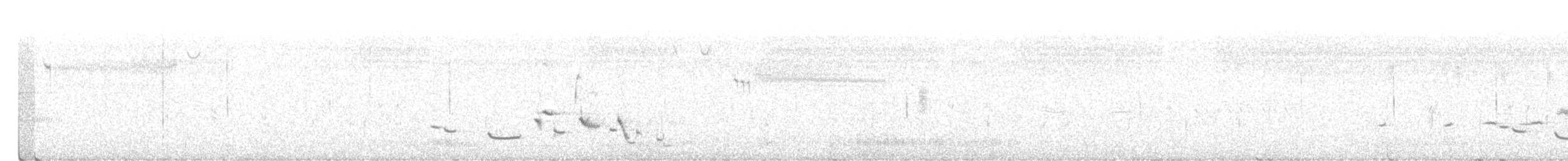 Western Meadowlark - ML467994291