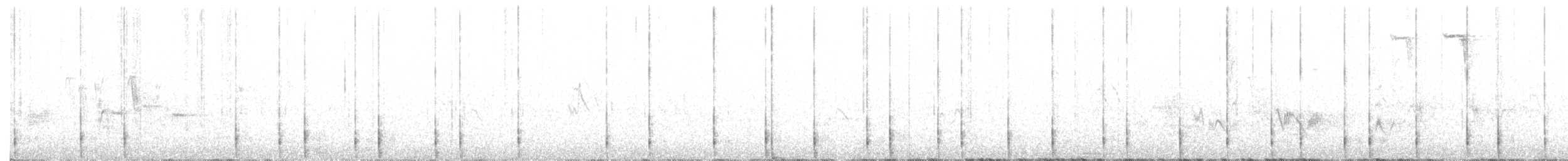 datlík smrkový (ssp. fasciatus) - ML468025421