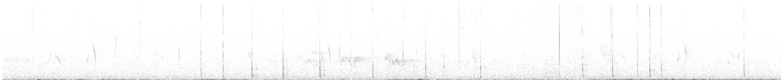 datlík smrkový (ssp. fasciatus) - ML468025431