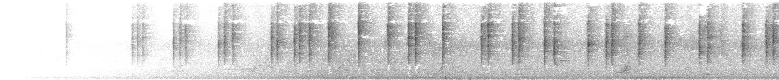 Troglodyte barré - ML468042491