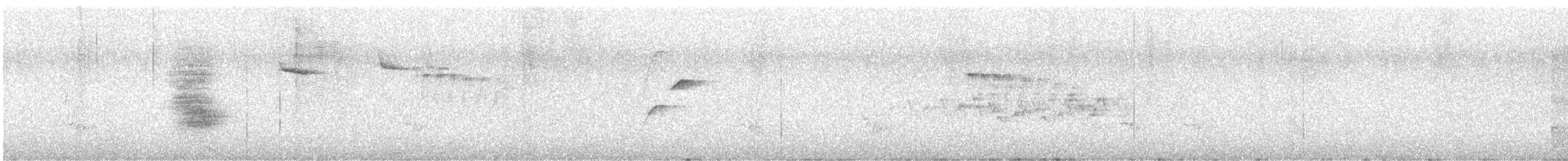 Batı Amerika Sinekkapanı (occidentalis/hellmayri) - ML468058101