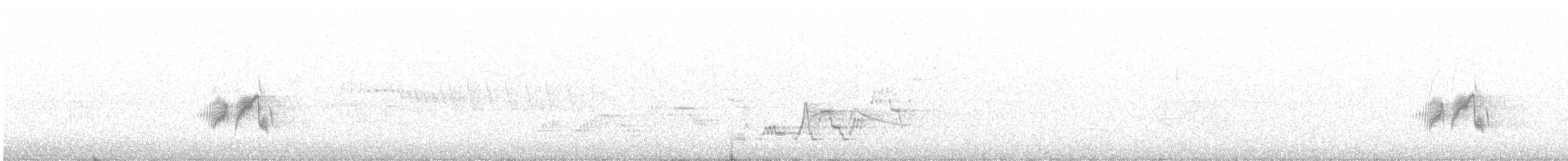 Moucherolle des aulnes - ML468089191