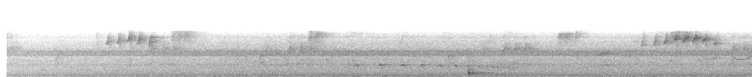 Robust Woodpecker - ML468160041