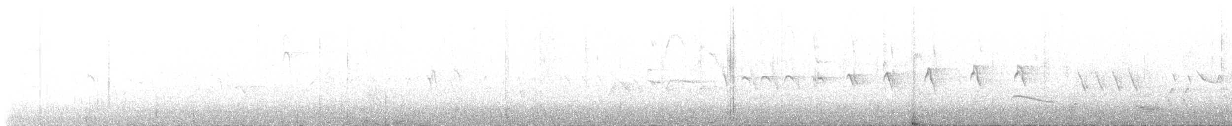 Black Phoebe - ML468179151