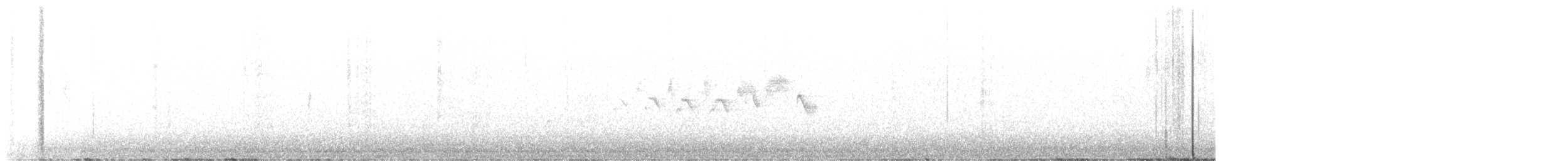 Black-throated Gray Warbler - ML468179221