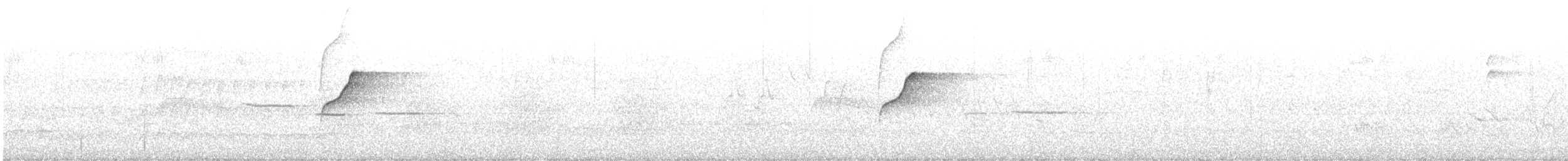 Western Flycatcher (Cordilleran) - ML468182911