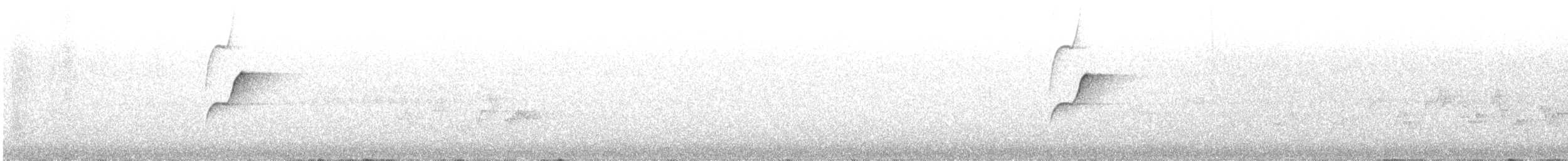 Western Flycatcher (Cordilleran) - ML468184061