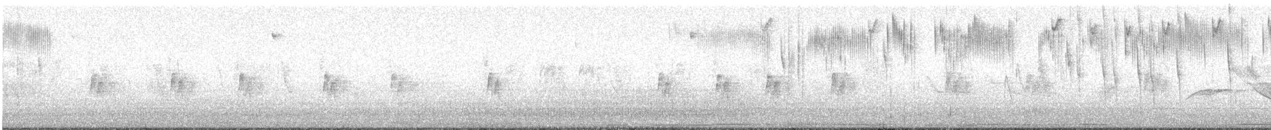 Arika Çölyıldızı - ML468212961