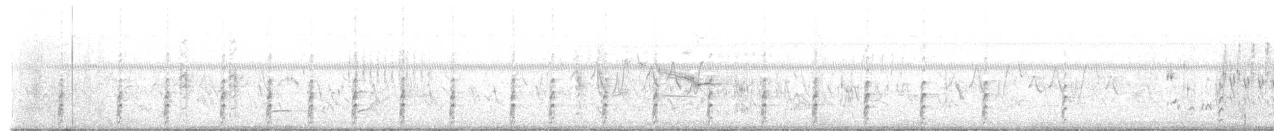 Schwarznacken-Stelzenläufer - ML468250931