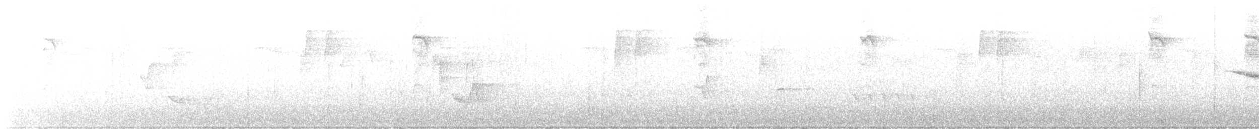 Reinita de Swainson - ML468263141