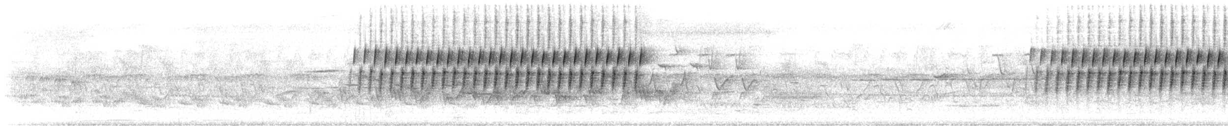 Schwirrammer - ML468276921