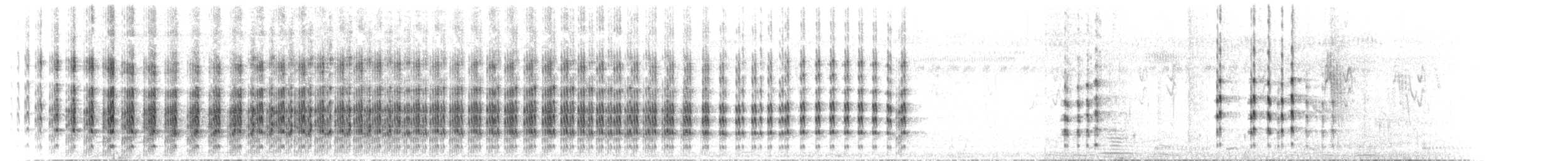 Vanneau à ailes blanches - ML468298901