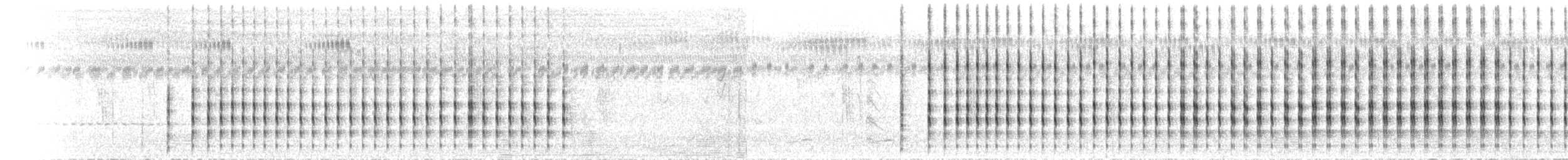 Vanneau à ailes blanches - ML468298911