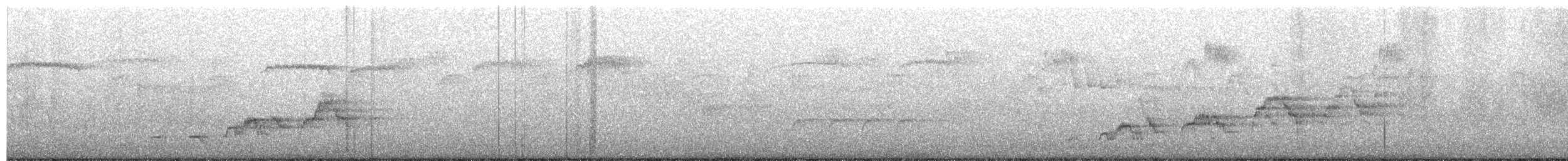 Дрізд-короткодзьоб Cвенсона - ML468301011