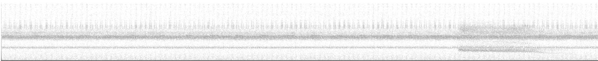 American Barn Owl - ML468302371