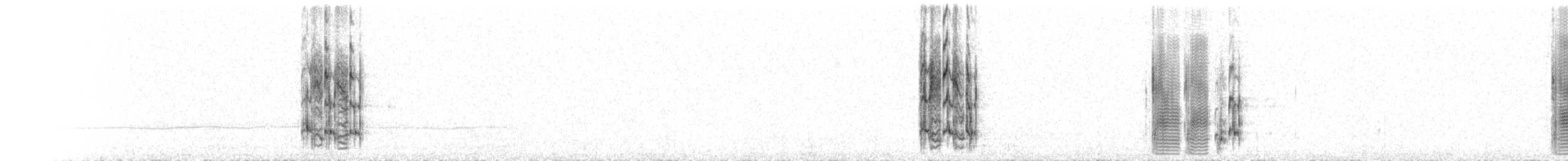 Сорокопуд сірий (підвид aucheri/buryi) - ML468367151