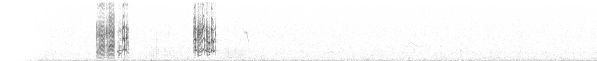 Серый сорокопут (aucheri/buryi) - ML468367191