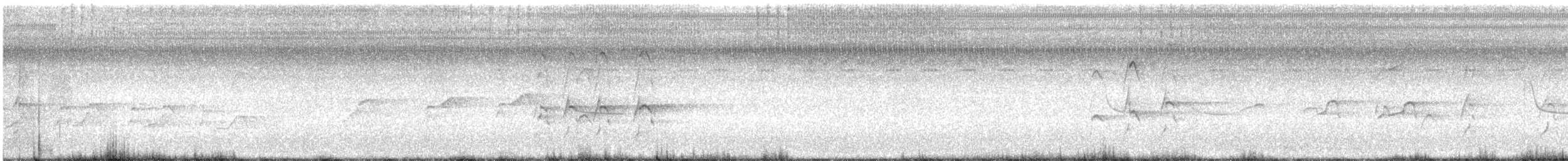 Swallow-tailed Kite - ML468395441