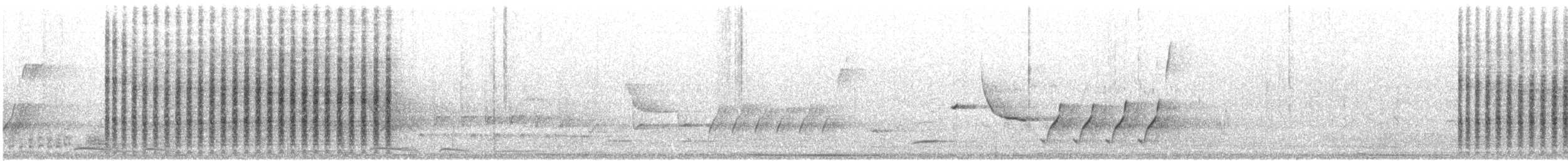 Streak-backed Oriole - ML468440221