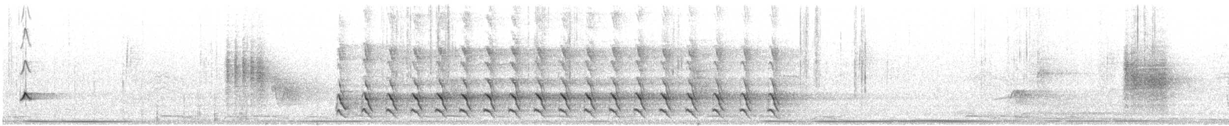 Streak-backed Oriole - ML468440251