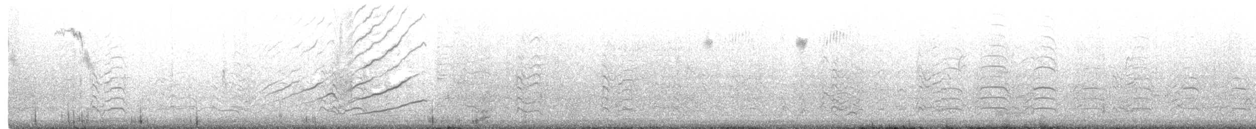 Neotropic Cormorant - ML468443121